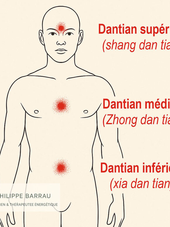 Schéma des trois Dantian — supérieur entre les sourcils, médian au niveau du sternum, et inférieur sous le nombril — représentant les trois centres énergétiques fondamentaux du corps selon la tradition taoïste.