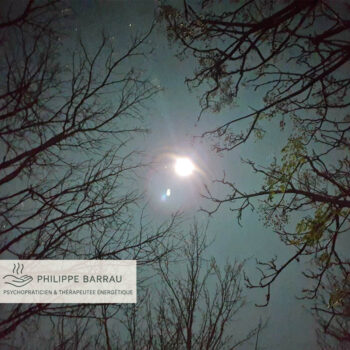 Nuit d’hiver sous les arbres, image symbolique du solstice et du retour aux racines