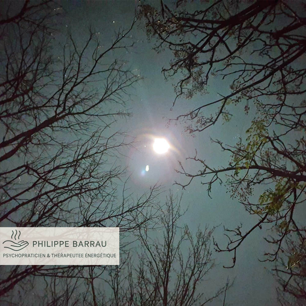 Nuit d’hiver sous les arbres, image symbolique du solstice et du retour aux racines