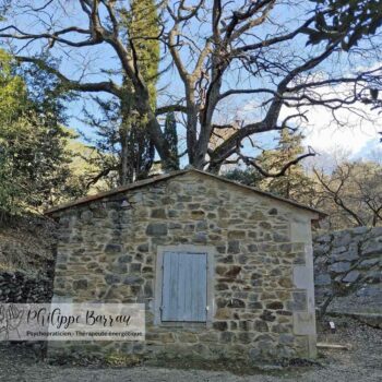 La cabane du garde en pierre sous un grand chêne, près du gaudre des Traversières à Saint-Étienne-du-Grès