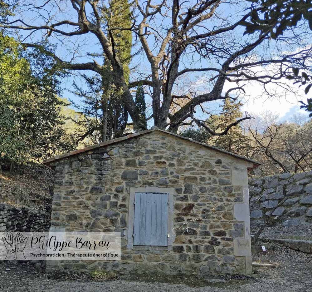 La cabane du garde en pierre sous un grand chêne, près du gaudre des Traversières à Saint-Étienne-du-Grès